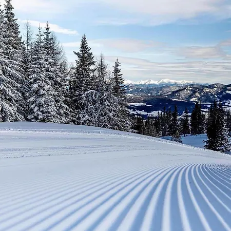 Grebenzen Starnberg 60b