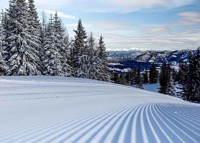 Grebenzen Starnberg 60b